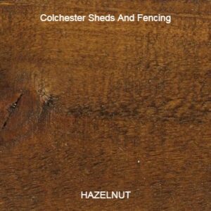 Hazelnut