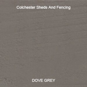 Dove Grey