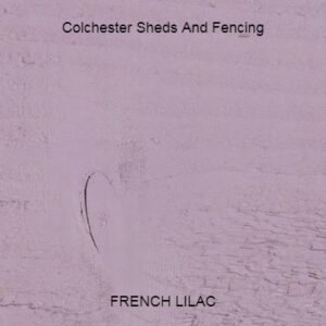 Fench Lilac