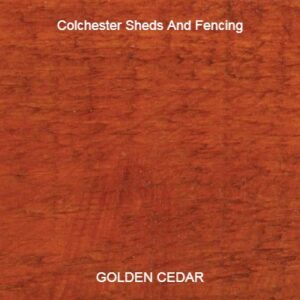 Golden Cedar