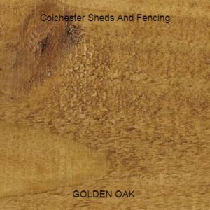 Golden Oak